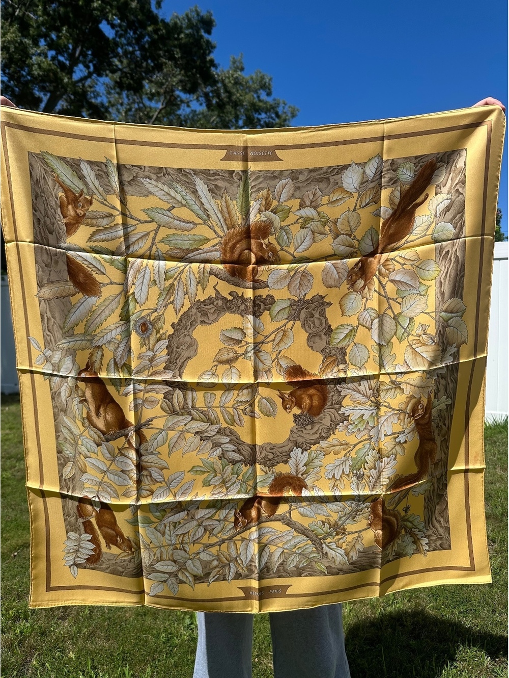 Hermes Casse-Noisette Silk Scarf 90cm Yellow Squirrels Carre